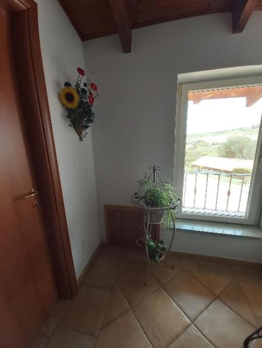 Cascina Cantaret Agriturismo San Marzano Oliveto Zewnętrze zdjęcie